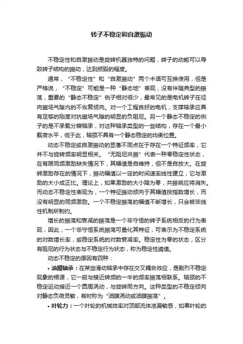 转子不稳定和自激振动