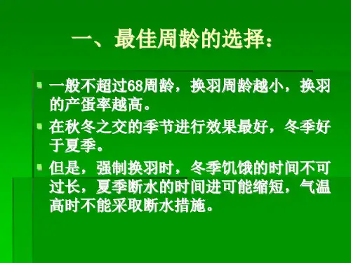 蛋鸡的强制换羽.ppt