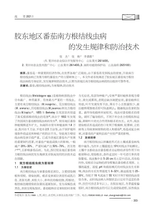 胶东地区番茄南方根结线虫病的发生规律和防治技术