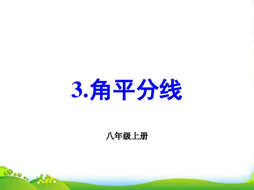 华师大版八年级数学上册《角平分线》优课件