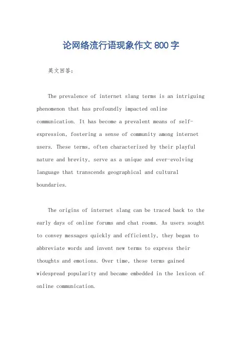 论网络流行语现象作文800字