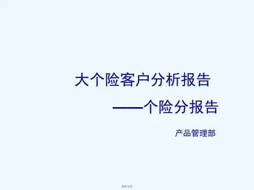 保险客户分析报告(共44张PPT)