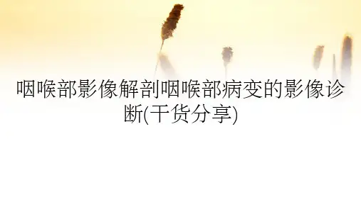 咽喉部影像解剖咽喉部病变的影像诊断(干货分享)