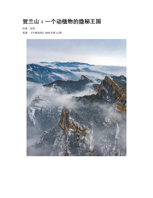 贺兰山：一个动植物的隐秘王国