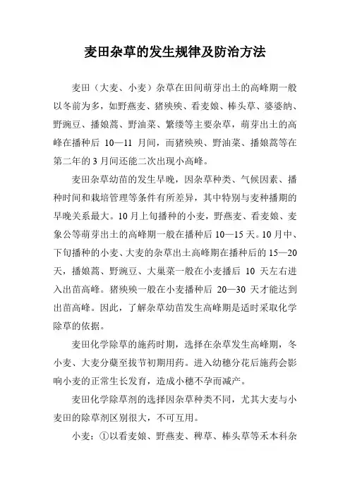 麦田杂草的发生规律及防治方法