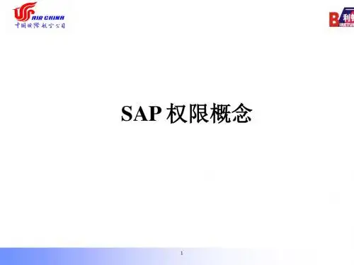 SAP权限设计培训(共40张PPT)