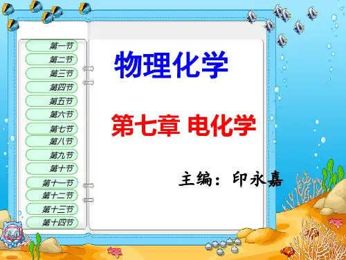 物理化学(印永嘉)-第七章-电化学