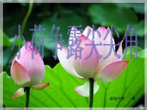 湘教版思品七上《小荷争露尖尖角》ppt