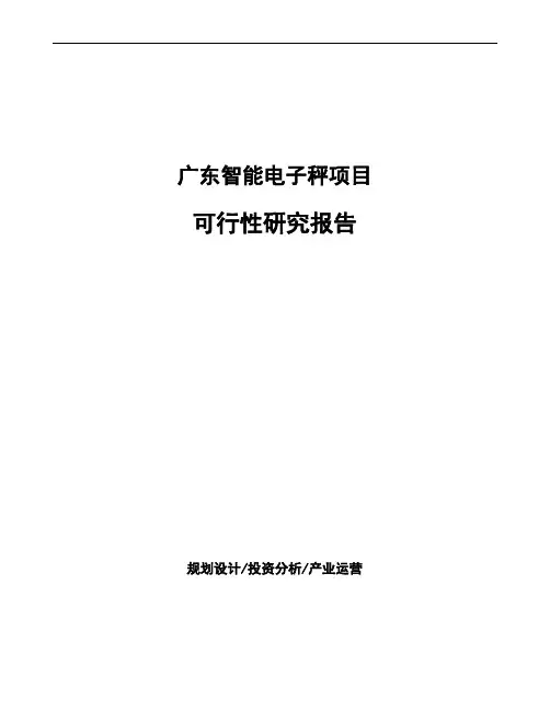 广东智能电子秤项目可行性研究报告