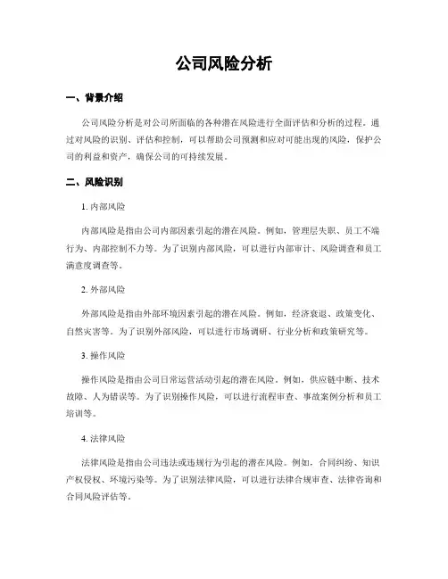 公司风险分析