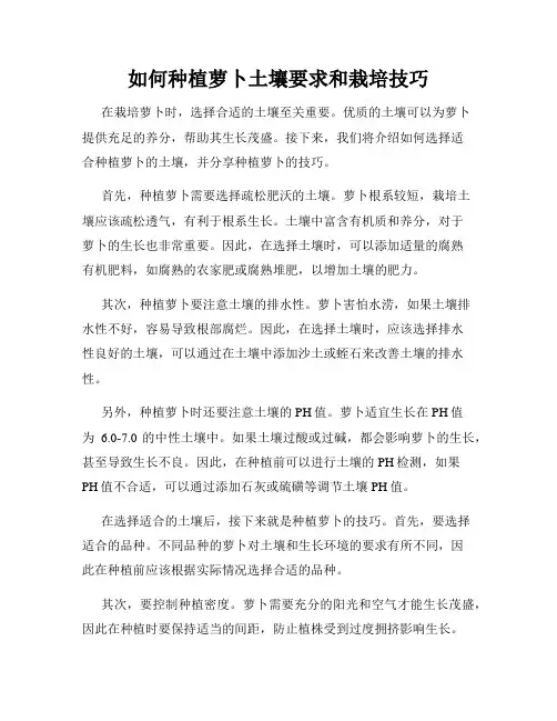 如何种植萝卜土壤要求和栽培技巧