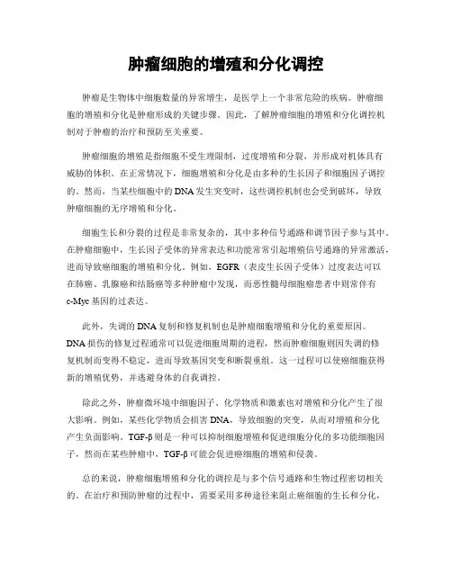 肿瘤细胞的增殖和分化调控