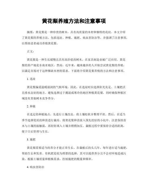 黄花梨养殖方法和注意事项