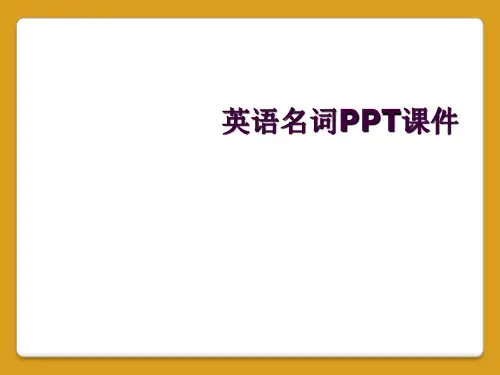 英语名词PPT课件