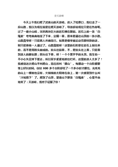 登天游峰_作文400字_小学四年级作文_
