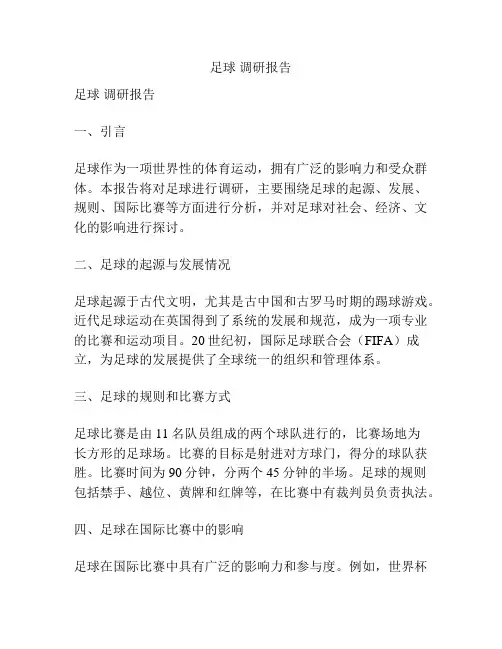 足球 调研报告