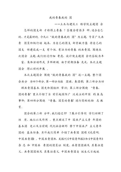 我的青春我的团主题团会总结