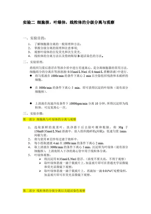 细胞核,叶绿体,线粒体的分级分离