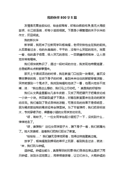 我的伙伴800字5篇