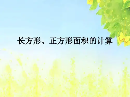 长方形、正方形面积的计算