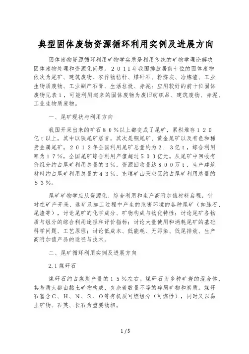 典型固体废物资源循环利用实例及发展方向