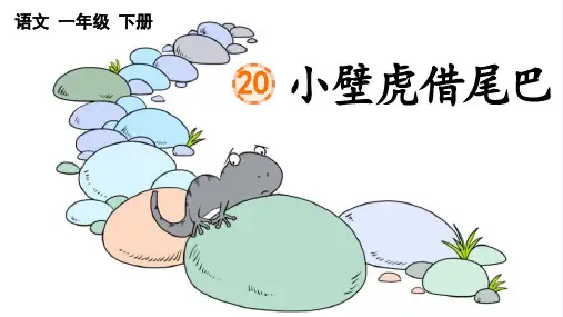 小壁虎借尾巴课件(共40张PPT)