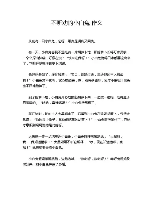 不听劝的小白兔 作文