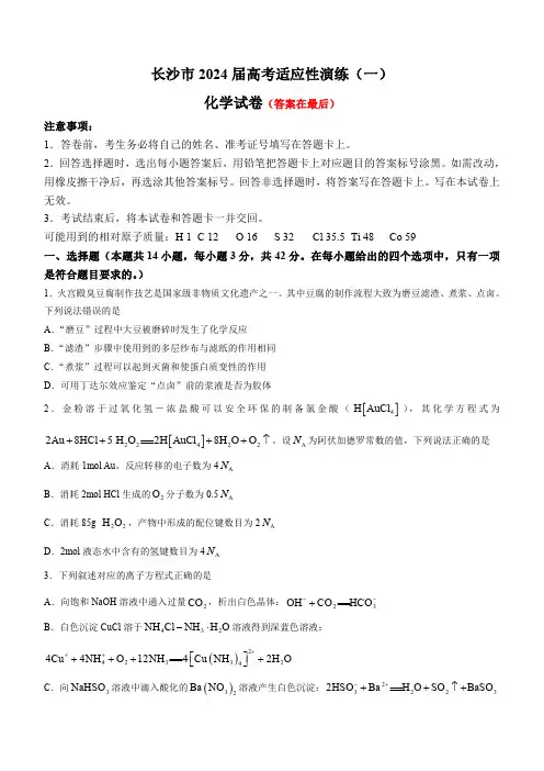 湖南省长沙市2024届高三下学期高考适应性演练(一)化学试题含答案