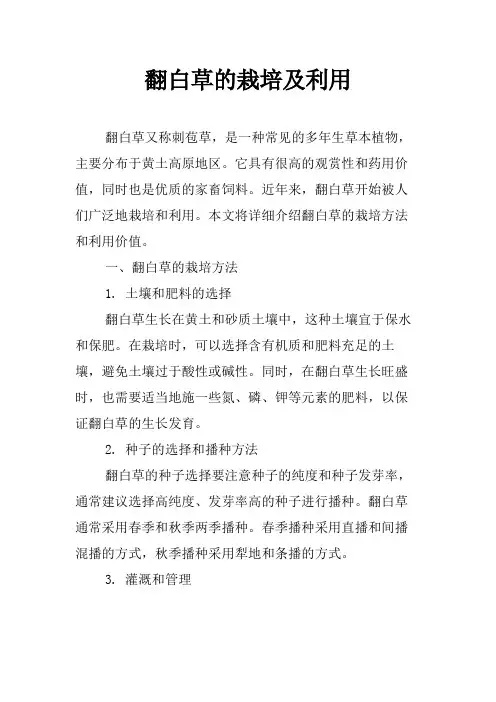 翻白草的栽培及利用