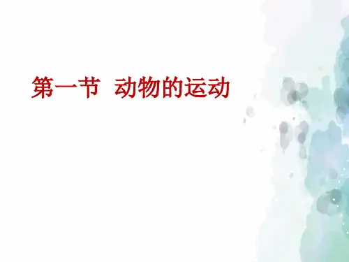 八年级上册-人教版生物-第五单元 第二章 第一节 动物的运动
