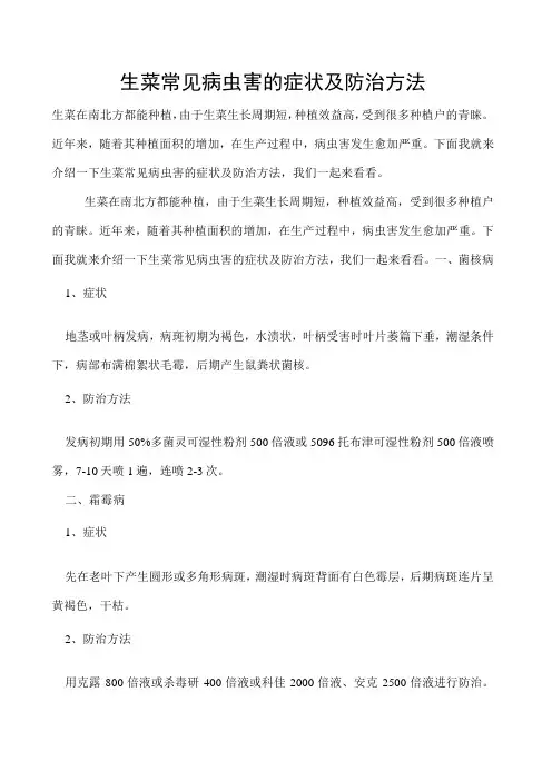 生菜常见病虫害的症状及防治方法