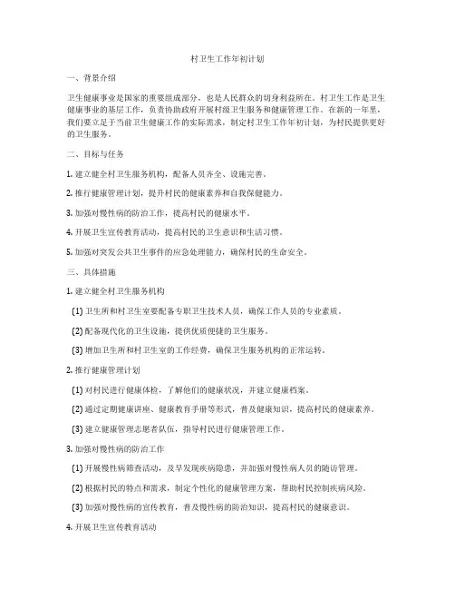 村卫生工作年初计划
