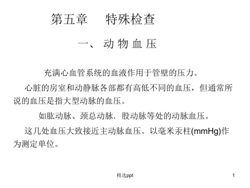 《特殊检查》PPT课件