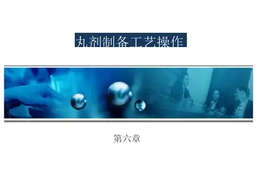 丸剂制备工艺操作