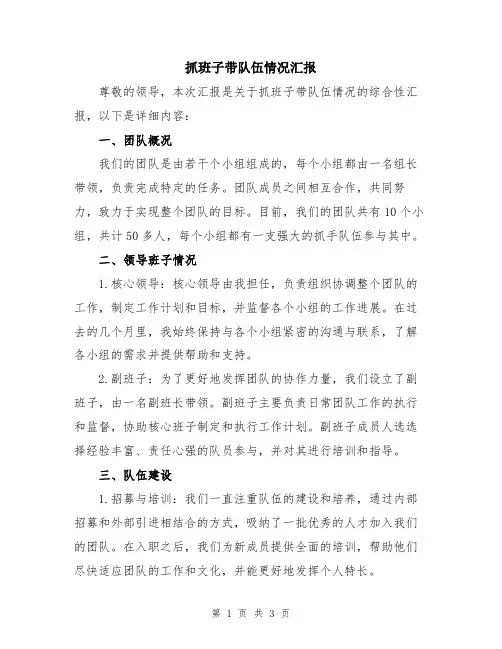 抓班子带队伍情况汇报