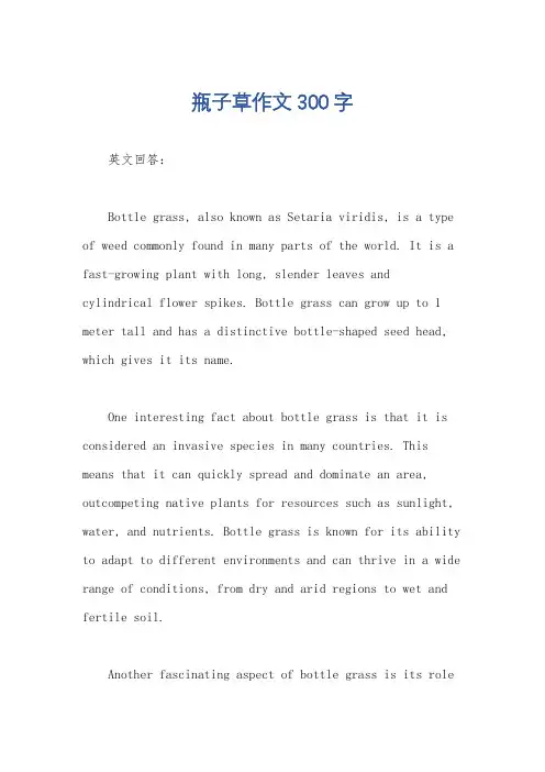 瓶子草作文300字