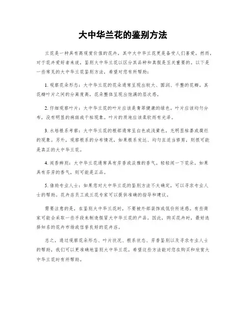 大中华兰花的鉴别方法