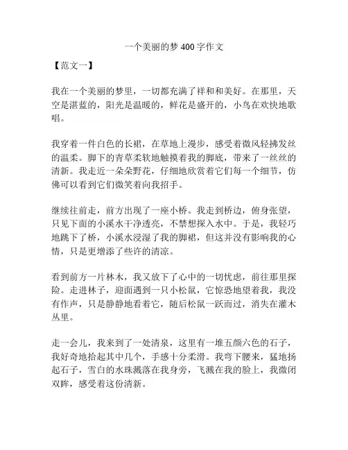 一个美丽的梦400字作文