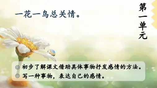白鹭  ppt课件