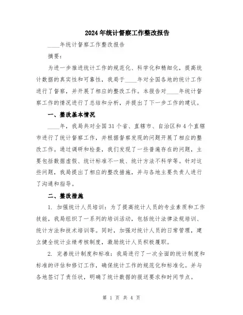 2024年统计督察工作整改报告