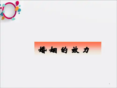 《婚姻的效力》PPT课件_OK