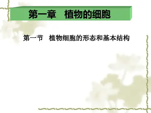 植物细胞的形态和基本结构.ppt