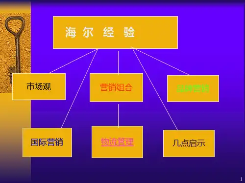 海尔经验PPT课件