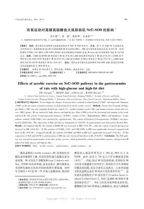 有氧运动对高糖高脂膳食大鼠腓肠肌Nrf2-SOD的影响