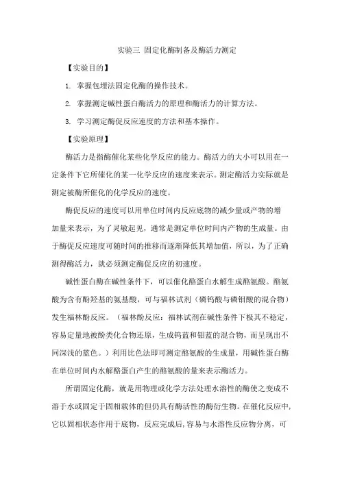 固定化酶制备及酶活力测定