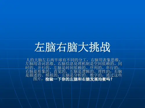 左右脑均衡游戏色彩 ppt课件