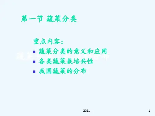 蔬菜种类与分类PPT课件