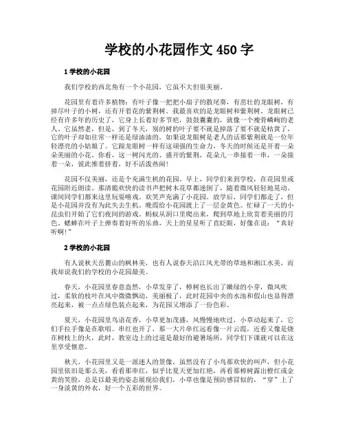 学校的小花园作文450字