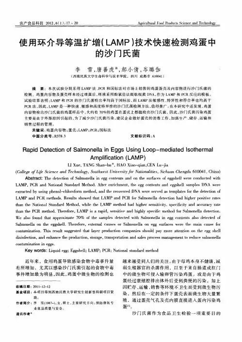 使用环介导等温扩增(LAMP)技术快速检测鸡蛋中的沙门氏菌