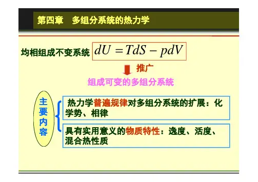 物理化学4 多组分体系热力学 1